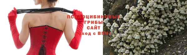 прущая мука Горняк
