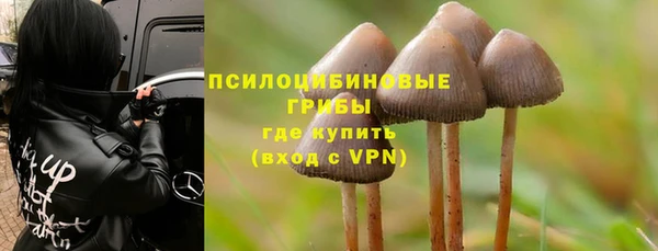 бошки Нягань
