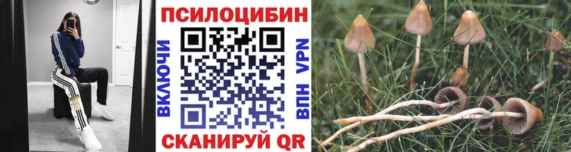 это наркотические препараты  Руза  Галлюциногенные грибы прущие грибы 